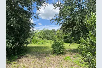 411 Alibrandi Road, Leesburg, FL 34748 - Photo 22