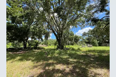 411 Alibrandi Road, Leesburg, FL 34748 - Photo 16