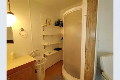 52 Outlet Drive, Lake Panasoffkee, FL 33538 - Photo 32