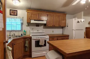 52 Outlet Dr, Lake Panasoffkee, FL 33538 - Photo 36