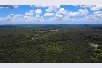 52 Outlet Drive, Lake Panasoffkee, FL 33538 - Photo 82