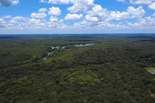 52 Outlet Dr, Lake Panasoffkee, FL 33538 - Photo 82