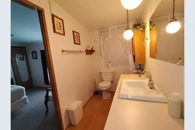 52 Outlet Drive, Lake Panasoffkee, FL 33538 - Photo 30