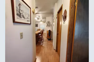 52 Outlet Drive, Lake Panasoffkee, FL 33538 - Photo 34