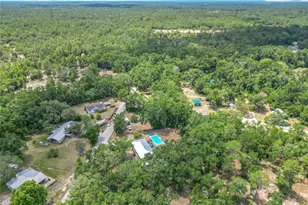 45 Forest Ln, Bronson, FL 32621 - Photo 22