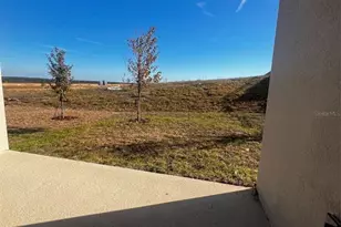 2064 Asher Ave, Minneola, FL 34715 - Photo 20