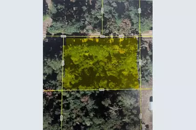 00 NE 201 St Place, Fort Mc Coy, FL 32134 - Photo 1