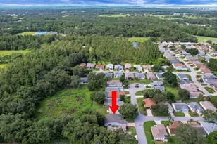 32942 Rambling Oaks Ct, Leesburg, FL 34748 - Photo 2