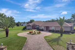 18139 Great Blue Heron Dr, Groveland, FL 34736 - Photo 66