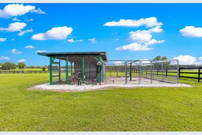 12345 NE 14th Avenue, Anthony, FL 32617 - Photo 30