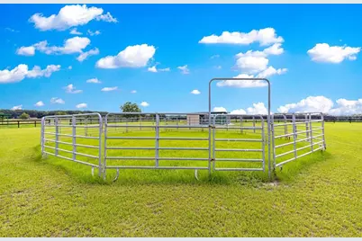 12345 NE 14th Avenue, Anthony, FL 32617 - Photo 12