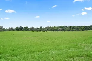 8567 Cr 635, Bushnell, FL 33513 - Photo 38