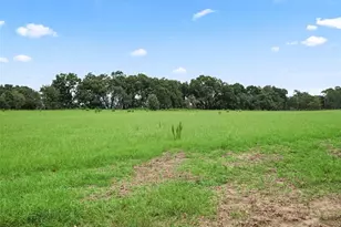 8567 Cr 635, Bushnell, FL 33513 - Photo 36