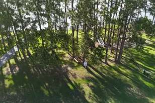 356 Sue Ave, Davenport, FL 33897 - Photo 84