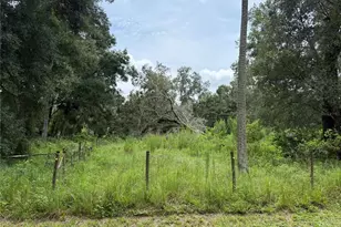 2747 County Road 615, Bushnell, FL 33513 - Photo 84