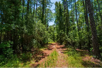 130 SE 7th Street, Palatka, FL 32177 - Photo 4