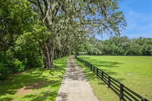 35520 Timbertop Ln, Fruitland Park, FL 34731 - Photo 78