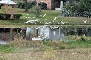 5309 Co Rd 114D, Wildwood, FL 34785 - Photo 28