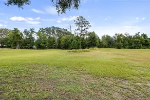 15520 Vinola Dr, Montverde, FL 34756 - Photo 68