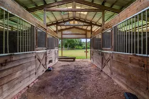 15520 Vinola Dr, Montverde, FL 34756 - Photo 4