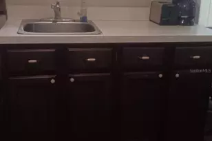 2693 Cr 426F, Lake Panasoffkee, FL 33538 - Photo 2