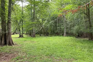8412 Cr 647, Bushnell, FL 33513 - Photo 10