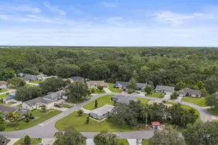 11218 Fountain Lake Blvd, Leesburg, FL 34788 - Photo 54