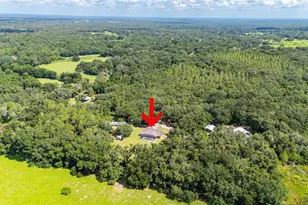 1923 Cr 738, Webster, FL 33597 - Photo 70