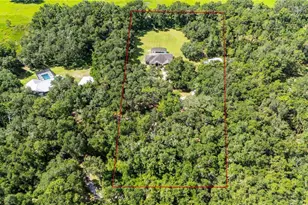 1923 Cr 738, Webster, FL 33597 - Photo 64