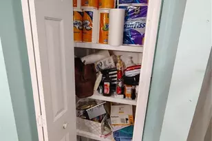 46 Wilderness Dr, Lake Panasoffkee, FL 33538 - Photo 54