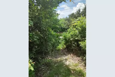 3629 Lake Buynak Road, Windermere, FL 34786 - Photo 30