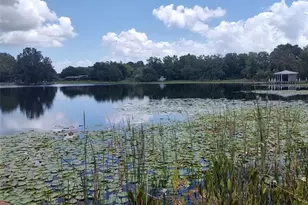 3629 Lake Buynak Rd, Windermere, FL 34786 - Photo 44