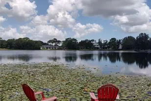 3629 Lake Buynak Rd, Windermere, FL 34786 - Photo 34