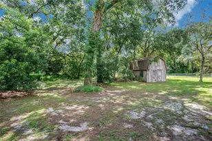 3629 Lake Buynak Rd, Windermere, FL 34786 - Photo 32