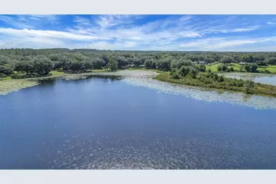 16982 SE Highway 42, Weirsdale, FL 32195 - Photo 6