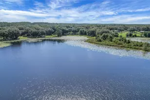 16982 SE Hwy 42, Weirsdale, FL 32195 - Photo 6