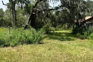 7833 Bay Lake Rd, Groveland, FL 34736 - Photo 10