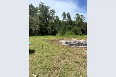 7833 Bay Lake Road, Groveland, FL 34736 - Photo 2