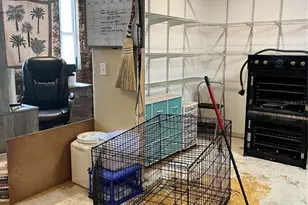 7833 Bay Lake Rd, Groveland, FL 34736 - Photo 26