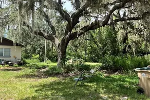 7833 Bay Lake Rd, Groveland, FL 34736 - Photo 4