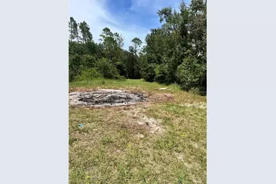 7833 Bay Lake Road, Groveland, FL 34736 - Photo 1