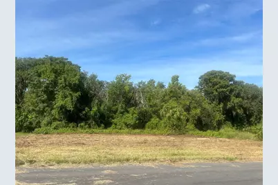 Redtree Drive, Leesburg, FL 34748 - Photo 1