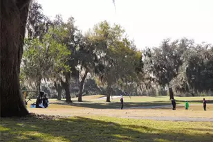 74 N Bobwhite Rd, Wildwood, FL 34785 - Photo 42