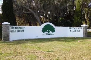 74 N Bobwhite Rd, Wildwood, FL 34785 - Photo 32