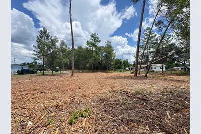 W Pine Street, Paisley, FL 32767 - Photo 4