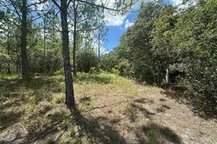 796 Fisher Rd, Ocklawaha, FL 32179 - Photo 1