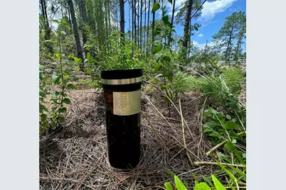 796 Fisher Road, Ocklawaha, FL 32179 - Photo 2