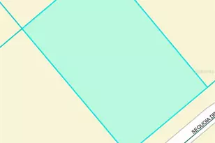 0 Sequoia Dr Trce, Ocklawaha, FL 32179 - Photo 1