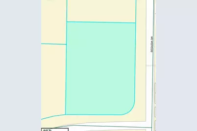 Tbd Sequoia Drive Trail, Ocklawaha, FL 32179 - Photo 1