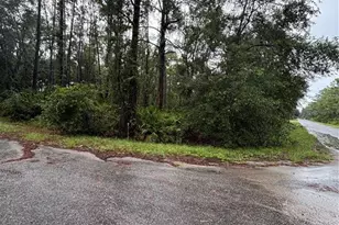 Tbd Sequoia Dr Trail, Ocklawaha, FL 32179 - Photo 1